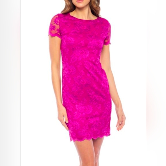 Elegant Pink Lace Dress - Picture 1 of 4